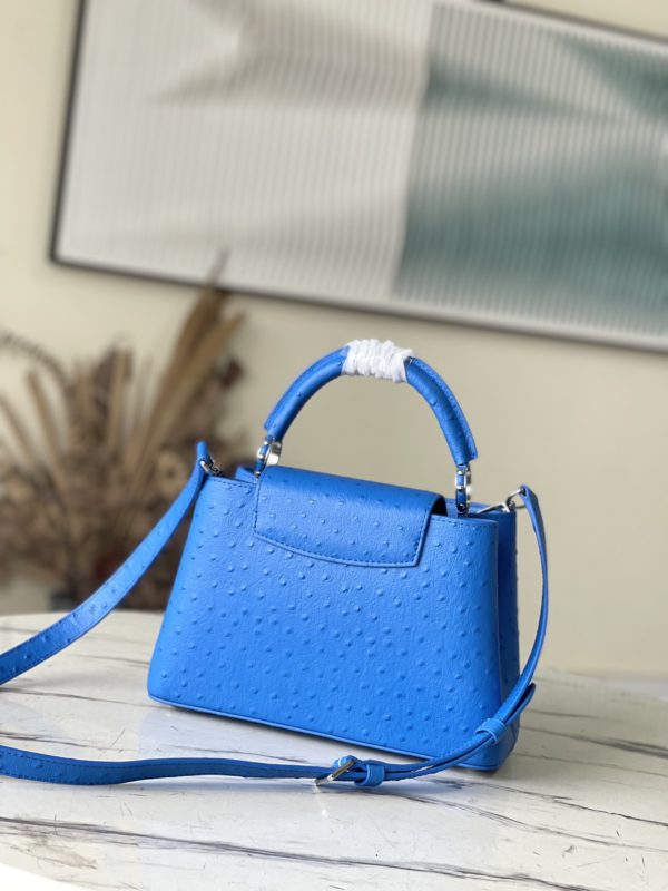 Louis Vuitton Small Capucines Ostrich Leather Handbag - Image 3