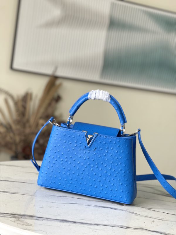 Louis Vuitton Small Capucines Ostrich Leather Handbag