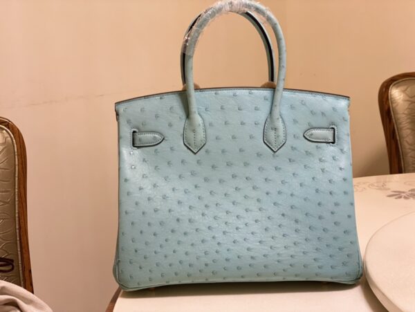 Hermes Ostrich Skin Hand Bag - Blue - Image 3