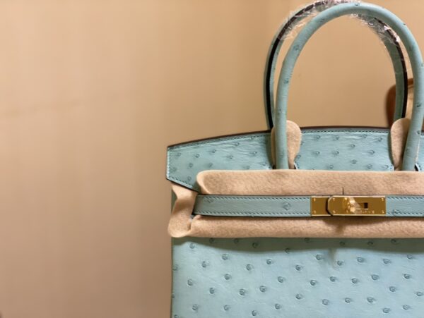 Hermes Ostrich Skin Hand Bag - Blue - Image 5