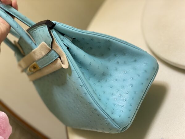 Hermes Ostrich Skin Hand Bag - Blue - Image 4