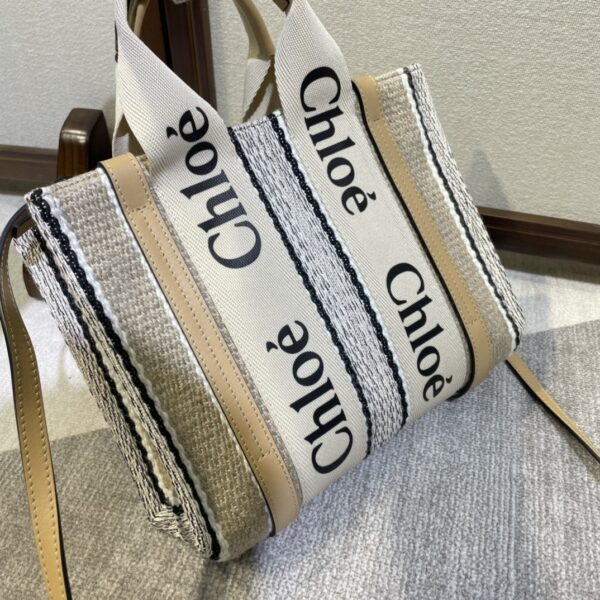 Chloe Rainbow Woody Small Tote Bag - Image 2